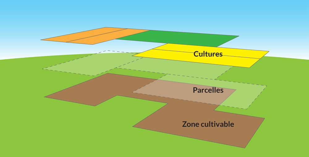 Schéma parcelles et cultures
