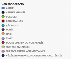 Catégories de SNA