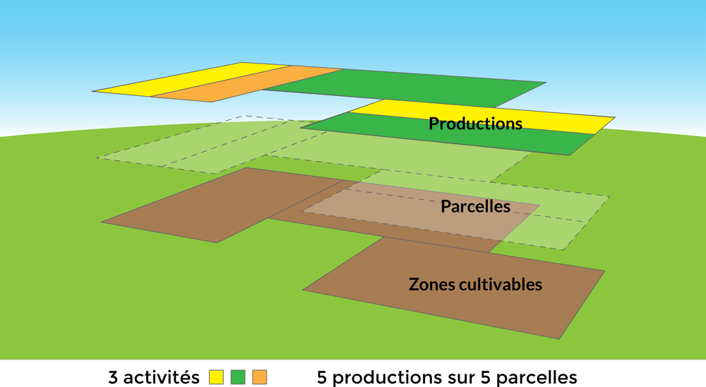 Schéma activités et productions